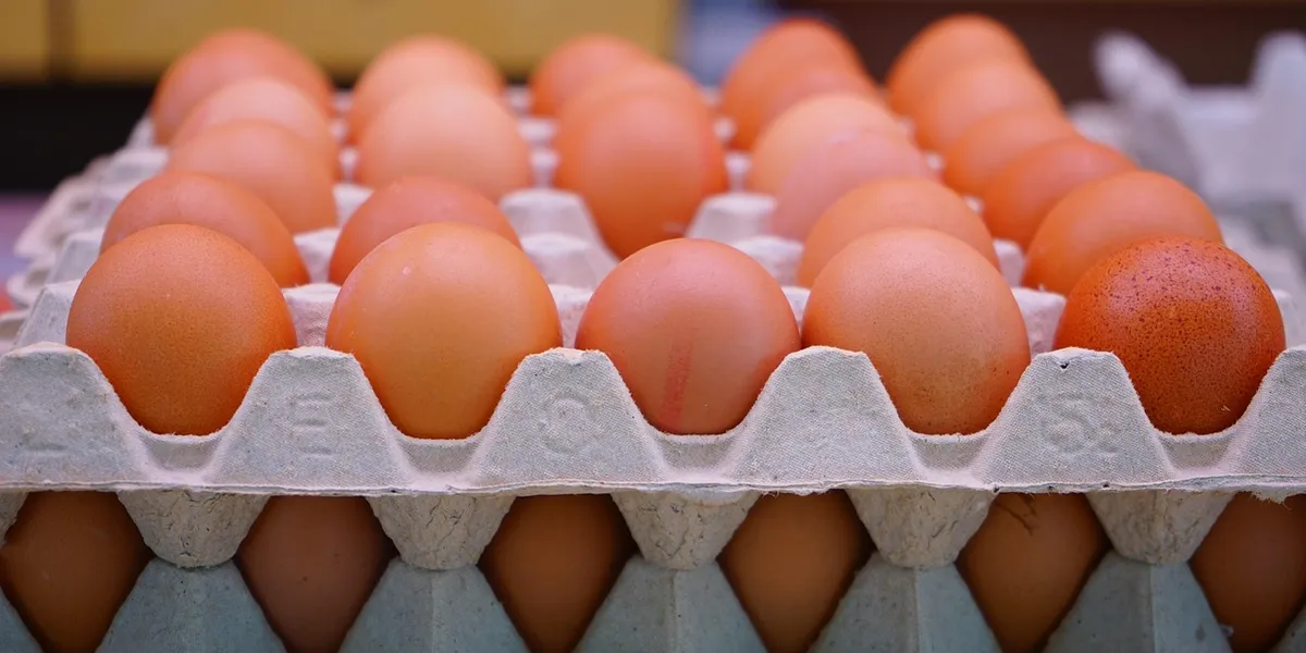 Row of brown chicken eggs arranged in a gray carton