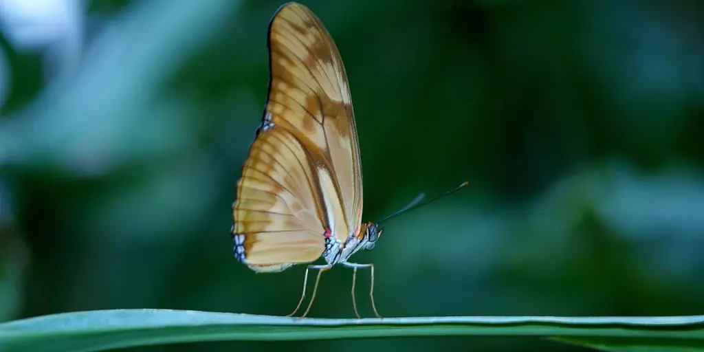 Feeder Insect Nutrition: The Complete Comparison Chart