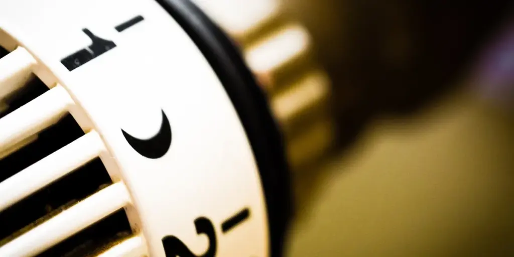 Heating Mat vs. Ceramic Heat Emitter: A Head-to-Head Comparison