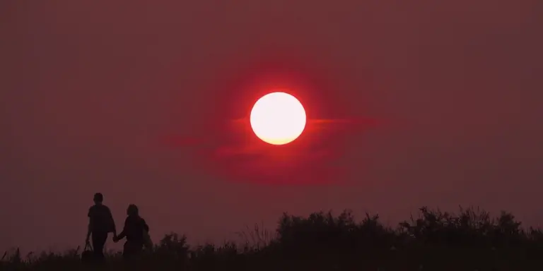 Silhouetted couple holding hands and walking at sunset over a hedge