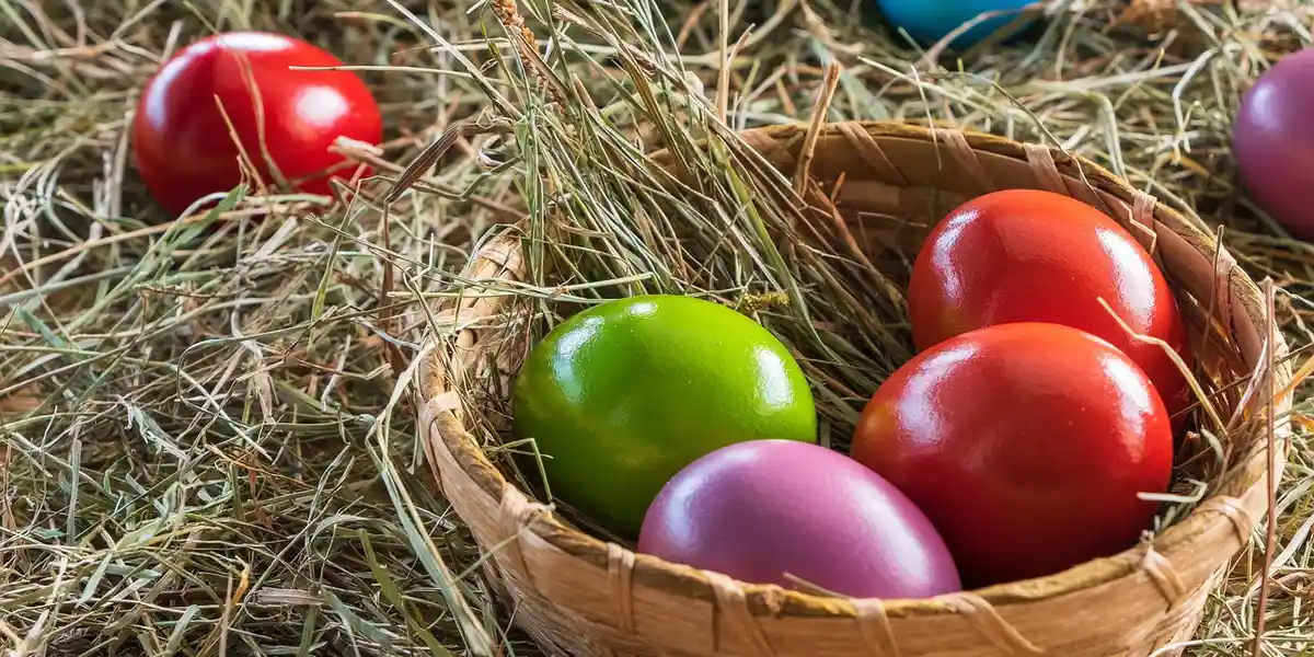 Decorative colorful eggs in a straw nest, representing gecko eggs for a guide on infertile and damaged eggs