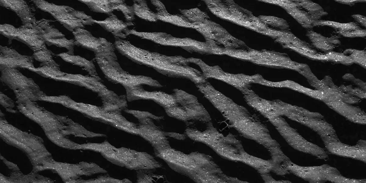 Close-up of a textured reptile substrate surface with irregular, wavy ridges.