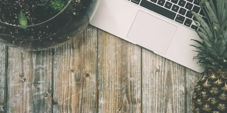 Top-down view of a wooden desk with a laptop, a potted plant, and a pineapple on the right, suggesting research for gecko tank plant choices.