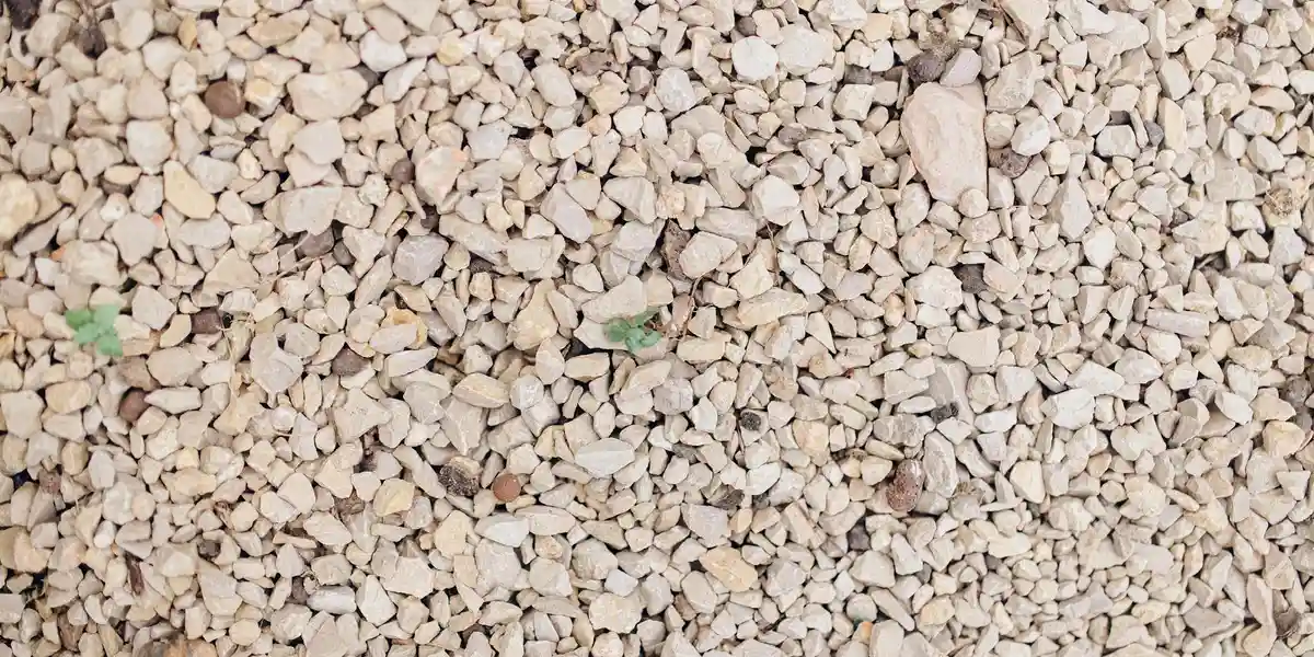 Close-up of small, light-colored gravel used as a drainage layer in a gecko enclosure
