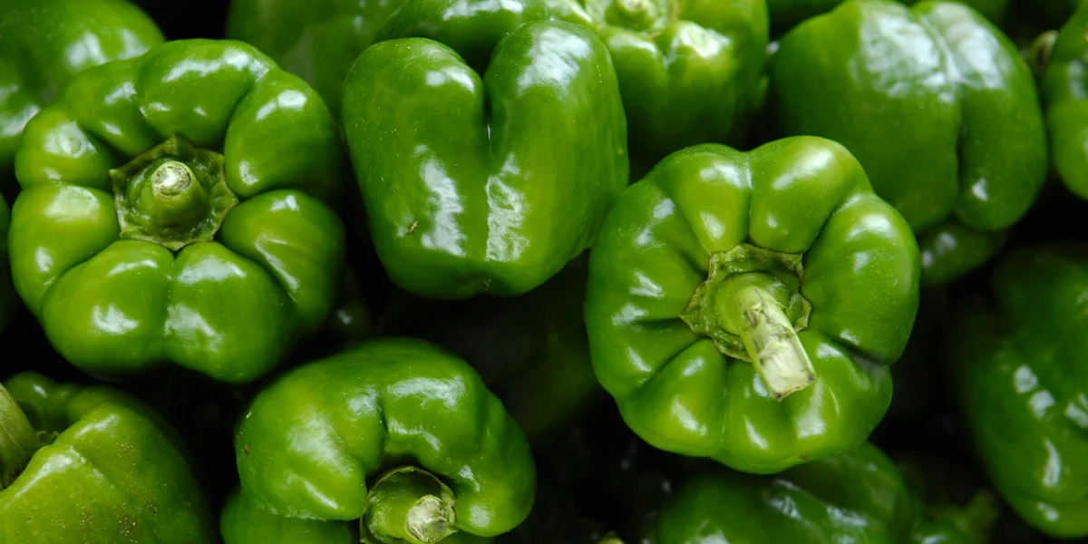 Fresh green bell peppers