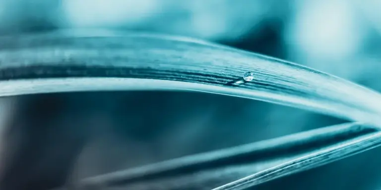Close-up of a leaf edge with a water droplet on a blue-toned background.