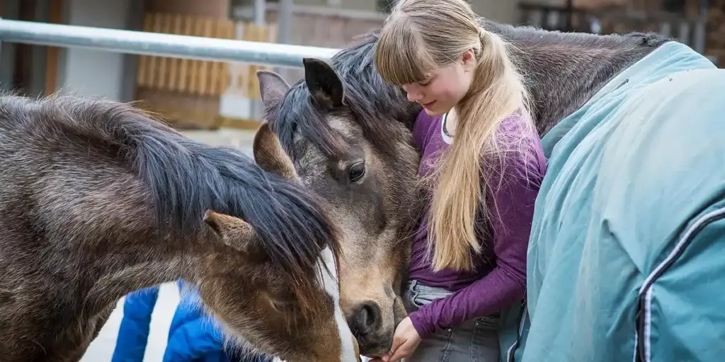 Line Breeding vs. Outcrossing: A Gecko Breeder’s Genetic Guide
