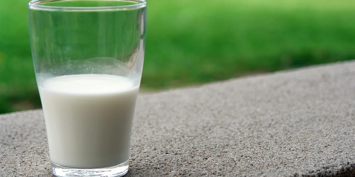 A glass of milk on a rough outdoor surface with a blurred green lawn in the background.