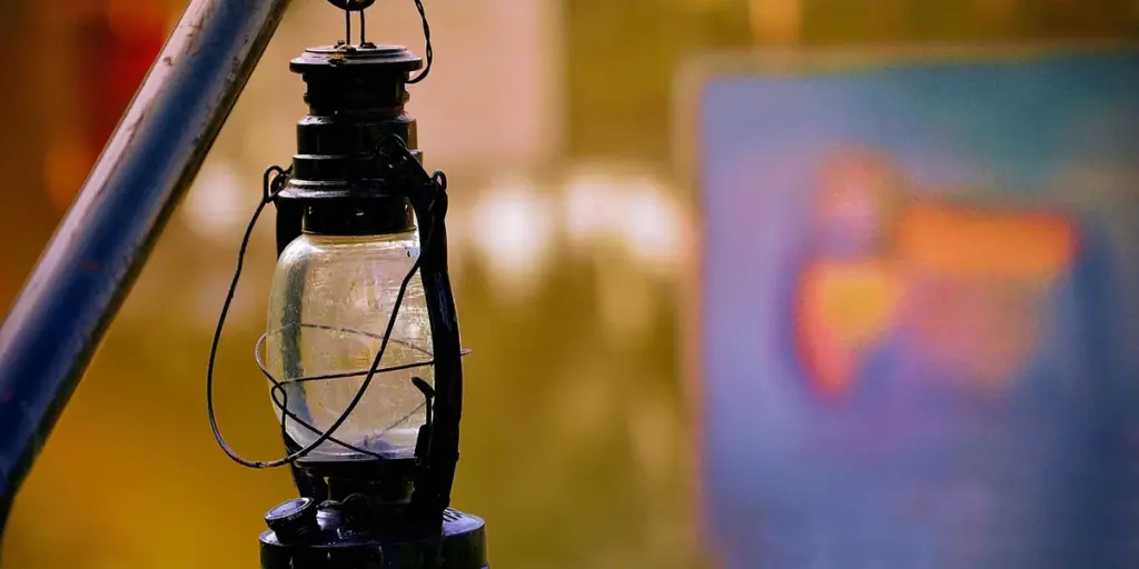 UVB Lighting Requirements for Pet Geckos: A Species-by-Species Breakdown