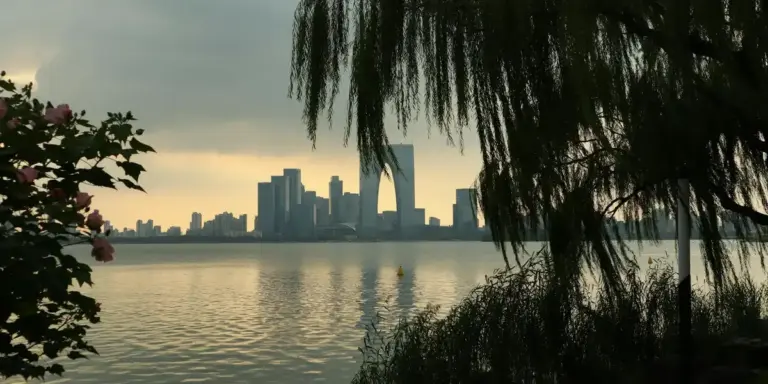 Dusk over a calm harbor with a city skyline in the distance, framed by dark palm-like trees in the foreground.